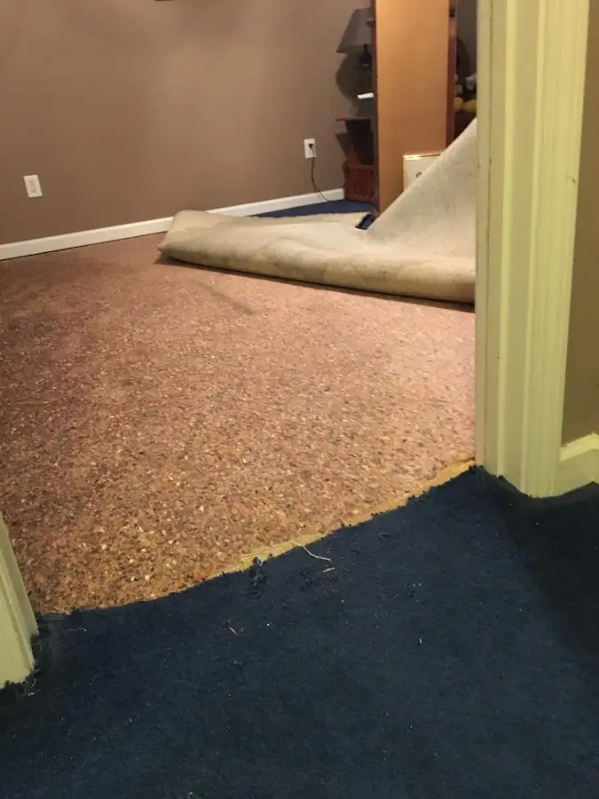 Carpet pad removal revealing water damage during Drying & Dehumidification in Buena Vista