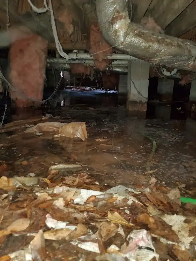 Crawl space flood assessment for Commercial Water Damage Restoration in Buena Vista