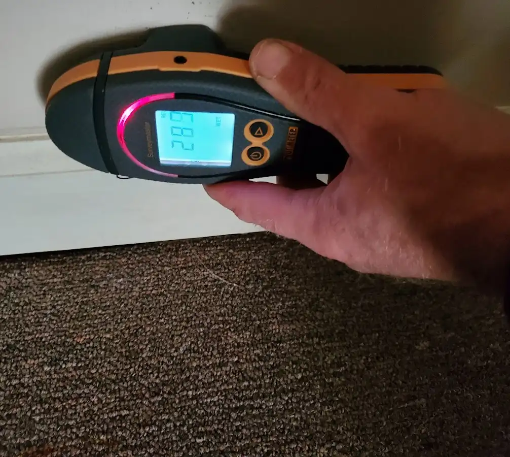 Moisture detection at baseboard during Mold Inspection & Testing in Buena Vista
