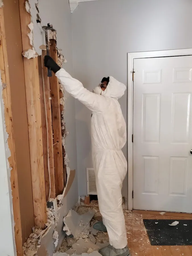 Mold Remediation & Removal in Buena Vista, VA